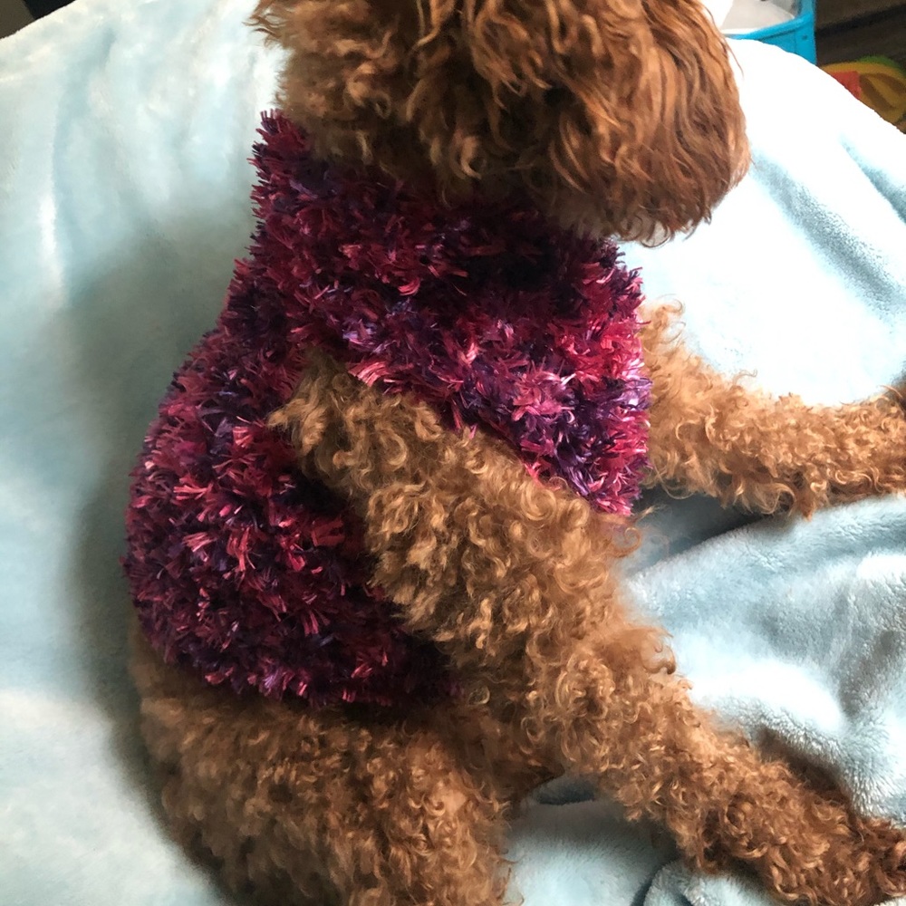 Dog sweater